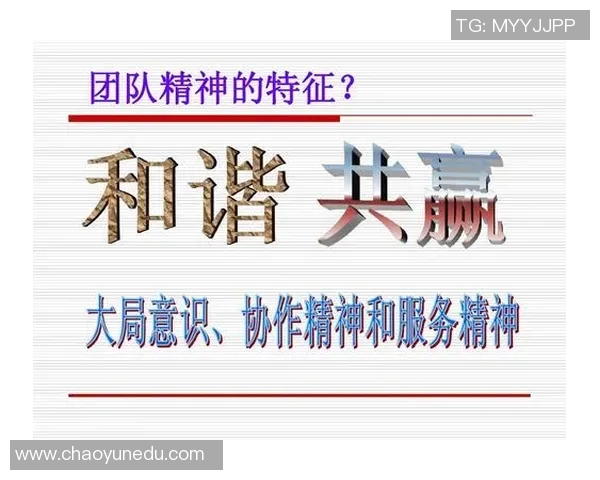 西安飞盘队的崛起与发展：力量与团队精神的深度剖析